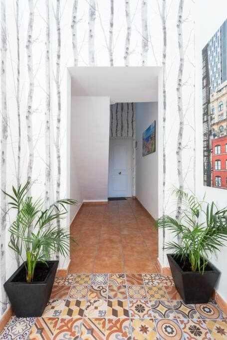 Sunnyland Teresitas 2 Apartment San Andres  Ngoại thất bức ảnh